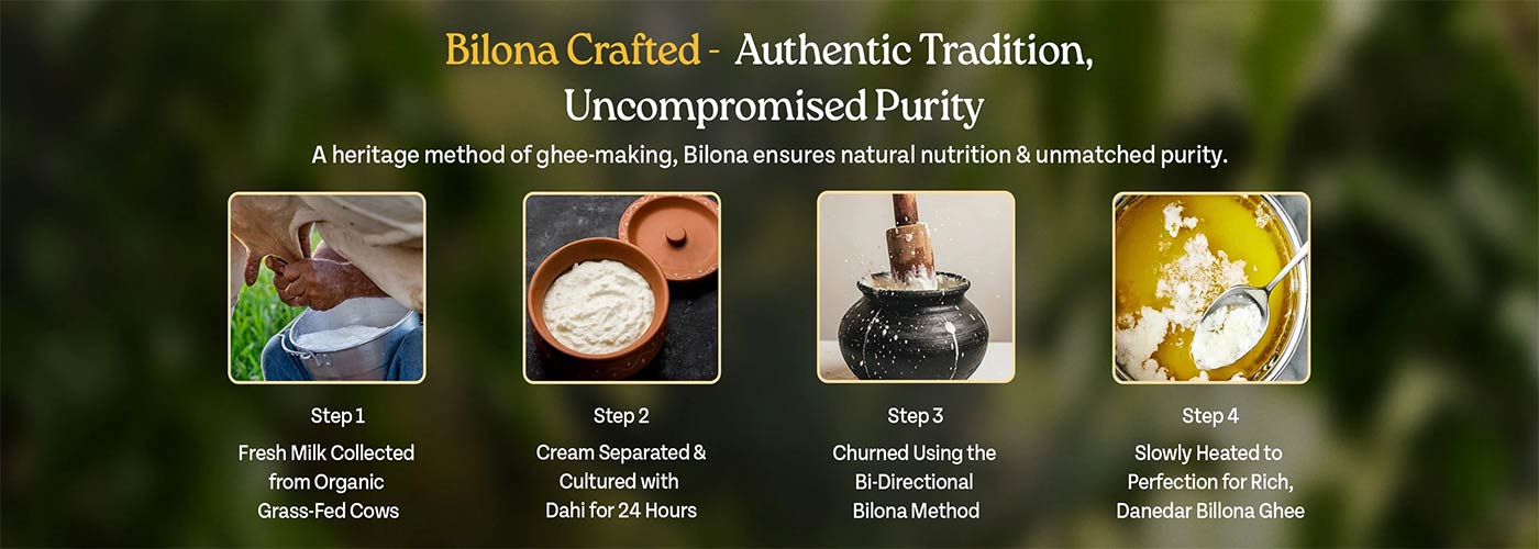Bilona Crafted - Authentic Tradition, Uncompromised Purity. Step 1: Fresh Milk Collected from Organic Grass-Fed Cows. Step 2: Cream Separated and Cultured with Dahi for 24 Hours. Step 3: Churned Using the Bi-Directional Bilona Method. Step 4: Slowly Heated to Perfection for Rich, Danedar Billona Ghee.